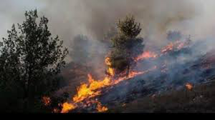 القصرين: 18 حريقا بمناطق غابية وجبلية وتضاعفها على غير العادة مقارنة بالعام الماضي